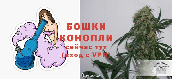 mdpv Богородицк
