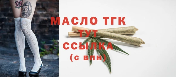 mdpv Богородицк