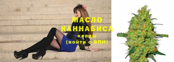 сатива Бронницы