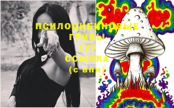 сатива Бронницы