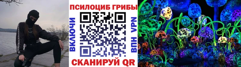 Псилоцибиновые грибы Psilocybine cubensis  Козельск 